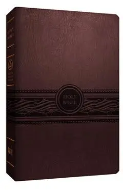 Personal Size Large Print Bible-Mev - Passio