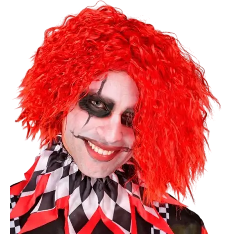 Peruca clown rosie