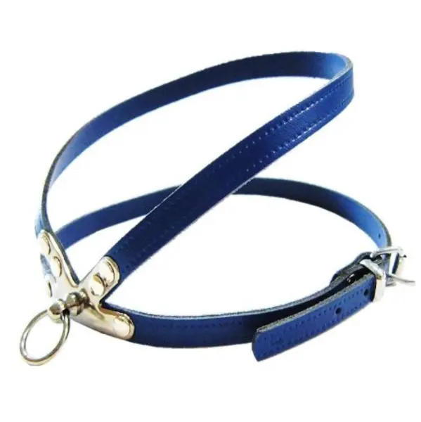 Pet Expert Ham Clasic Albastru - pet-expert,nr-1