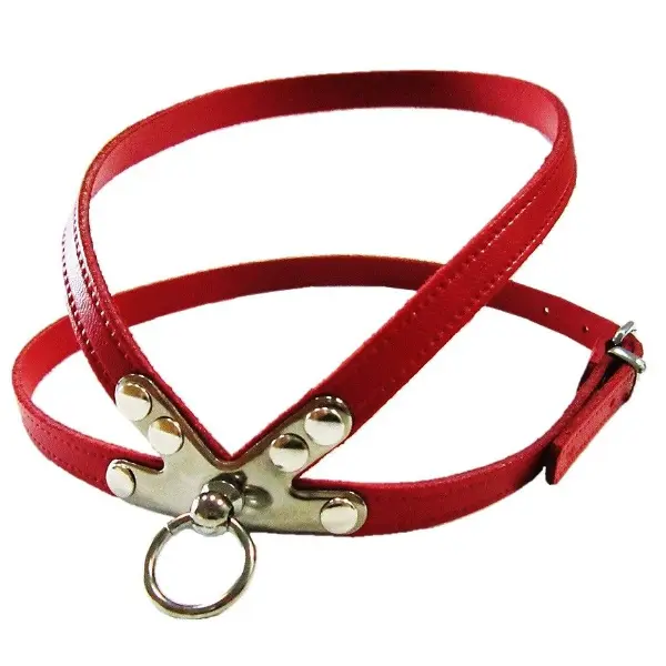 Pet Expert Ham Clasic Rosu - pet-expert,nr-5