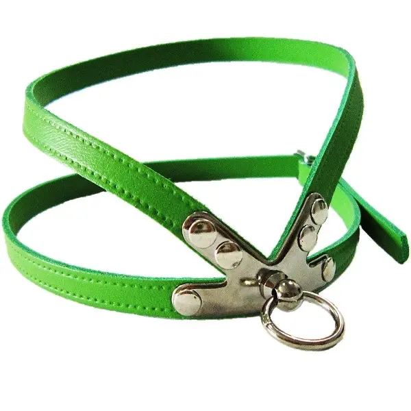 Pet Expert Ham Clasic Verde - pet-expert,nr-6