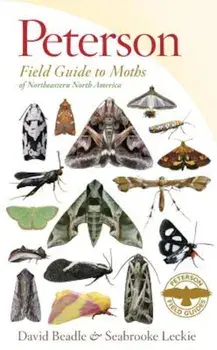 Peterson Field Guide to Moths of Northeastern North America, Paperback/David Beadle
