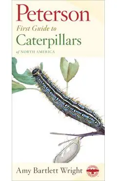 Peterson First Guide to Caterpillars of North America - Amy Bartlett Wright