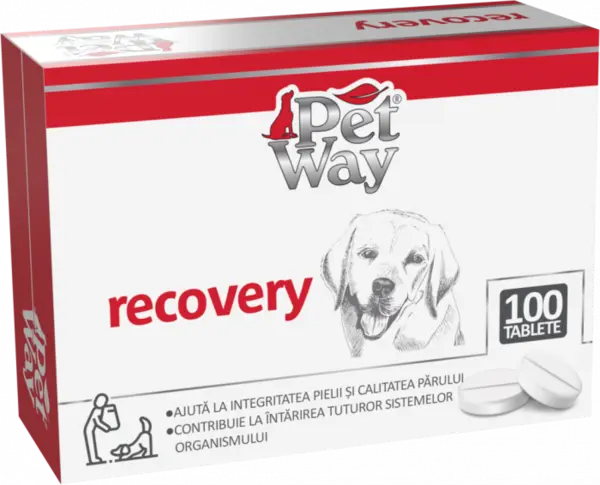 Petway Recovery - 100 Tablete