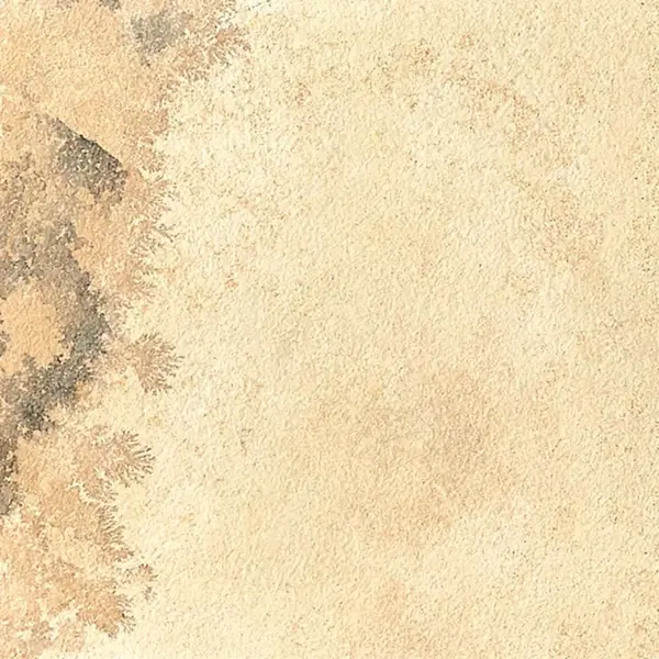 Piatra Sinterizata Hardscape Monviso Fossil, 90 X 60 X 2 cm, R11 - Antiderapanta pt exterior