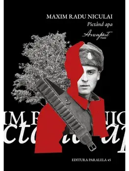 Pictand apa/Maxim Radu Niculai