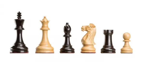 Piese de sah , Polgar Deluxe
