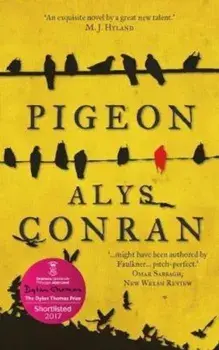 Pigeon, Paperback/Alys Conran