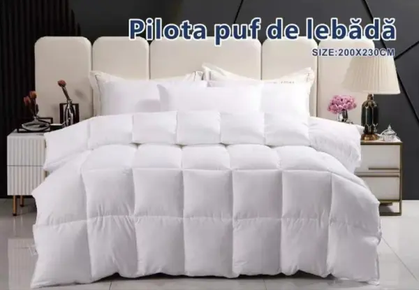 Pilota din puf de lebada, 200x230 cm, alb