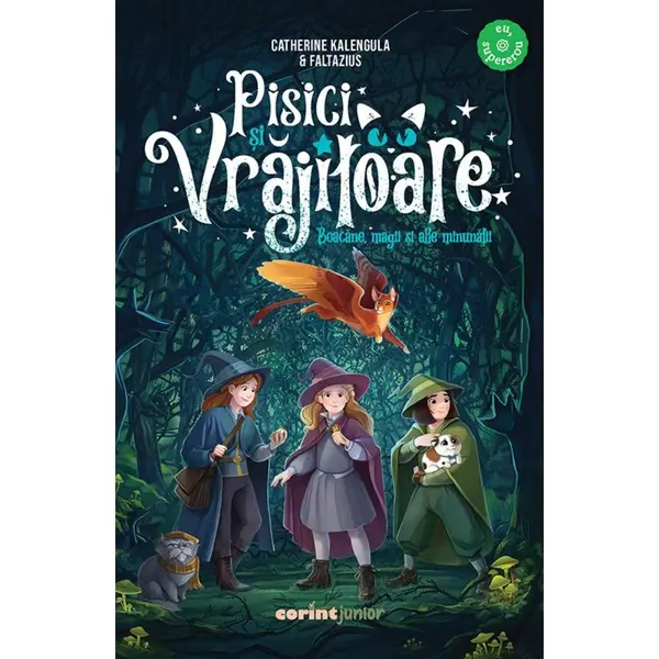 Pisici si vrajitoare, Boacane, magii si alte minunatii