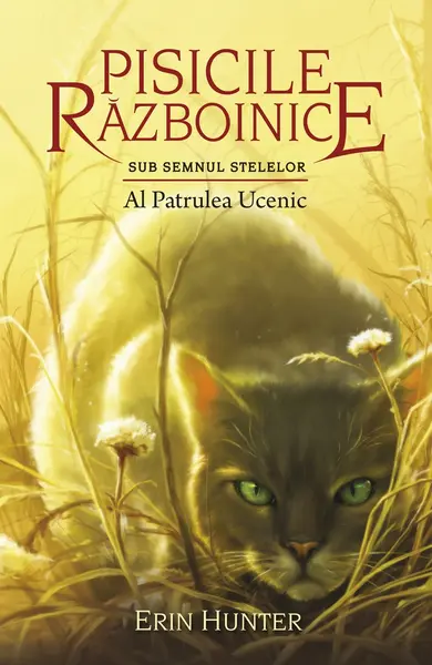 Pisicile razboinice (vol. 19): Sub semnul stelelor. Al patrulea ucenic