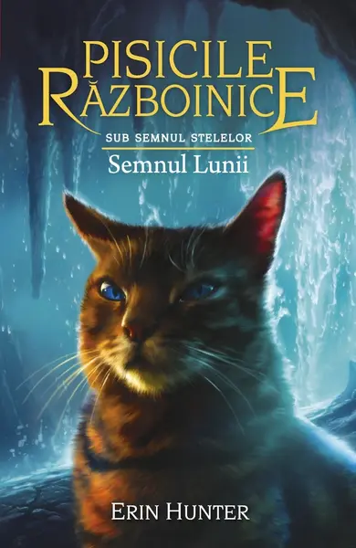 Pisicile razboinice (vol. 22): Sub semnul stelelor. Semnul lunii