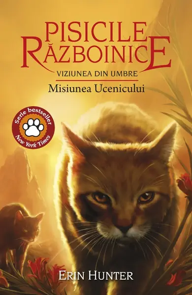 Pisicile războinice (vol. 31): Viziunea din umbre. Misiunea ucenicului