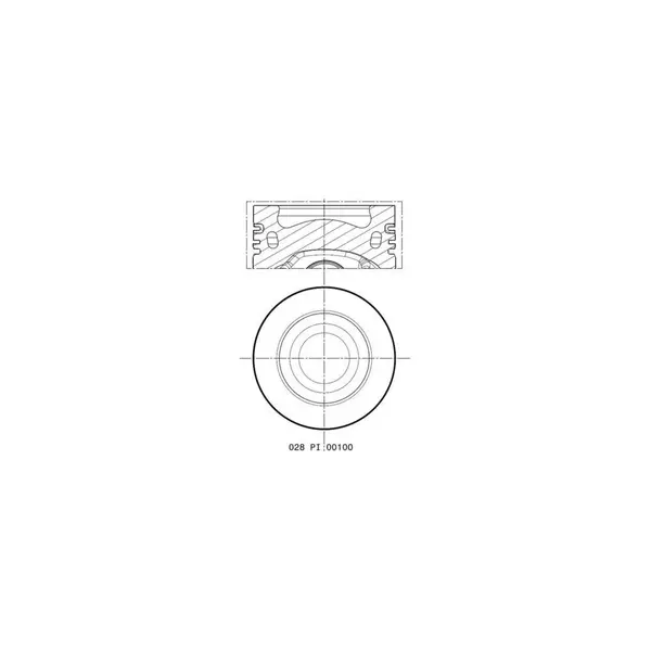 Piston MAHLE 028 PI 00100 000