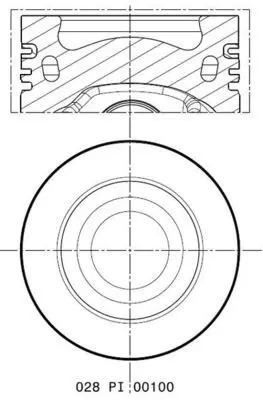 Piston MAHLE 028 PI 00100 001