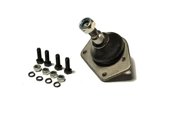 Pivot ASAM AUTOMOTIVE 30055