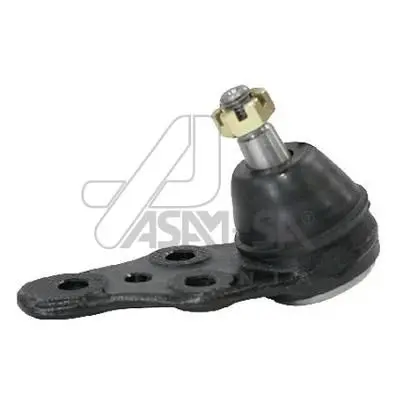 Pivot ASAM AUTOMOTIVE 50066