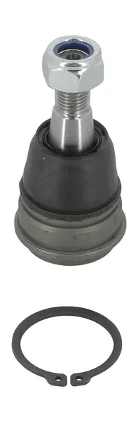 Pivot MOOG NI-BJ-4841