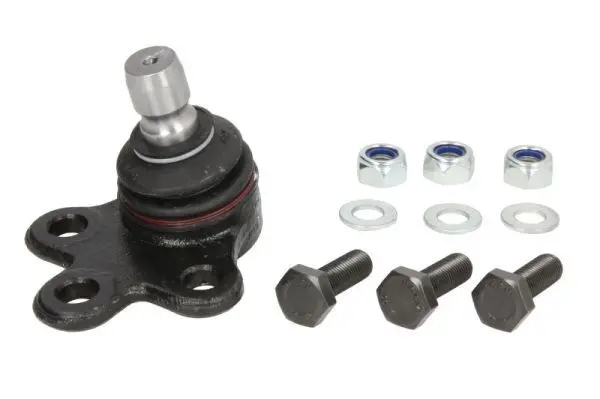 Pivot REINHOCH RH03-5019