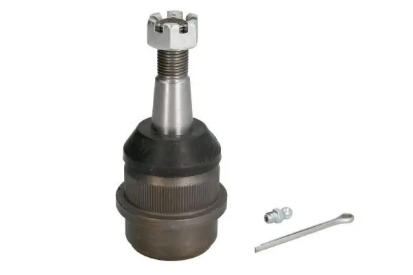 Pivot REINHOCH RH03-6001