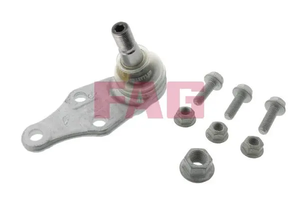 Pivot Schaeffler FAG 825 0065 10