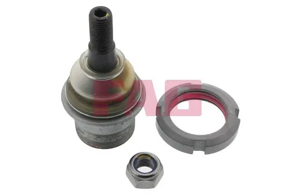 Pivot Schaeffler FAG 825 0079 10
