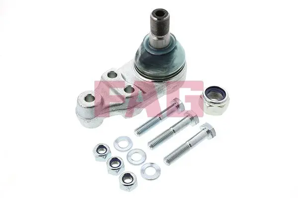 Pivot Schaeffler FAG 825 0096 10