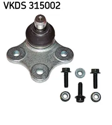 Pivot SKF VKDS 315002