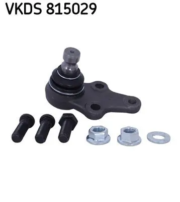 Pivot SKF VKDS 815029
