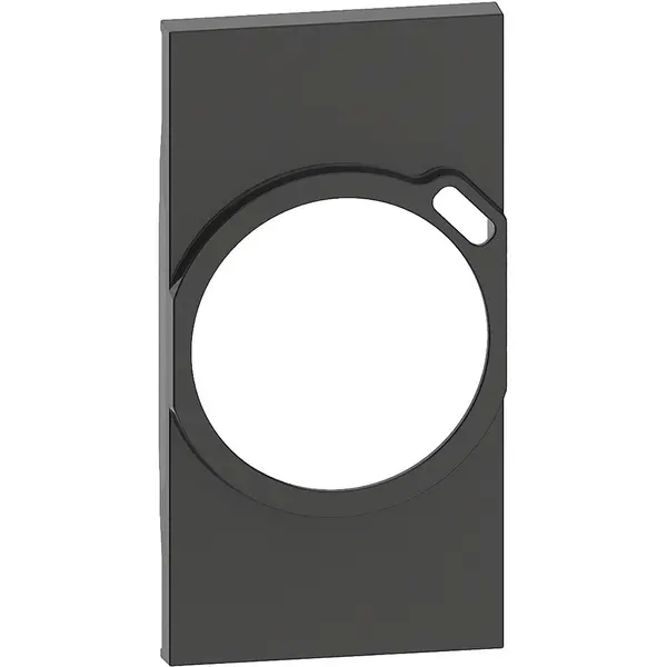 Placa 2 module pentru referintele KW4141USB, KG4141USB, KM4141USB Bticino Living Now KG63, negru