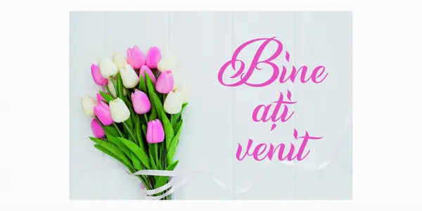 Placuta intampinare Personalizata PN20 55x25cm