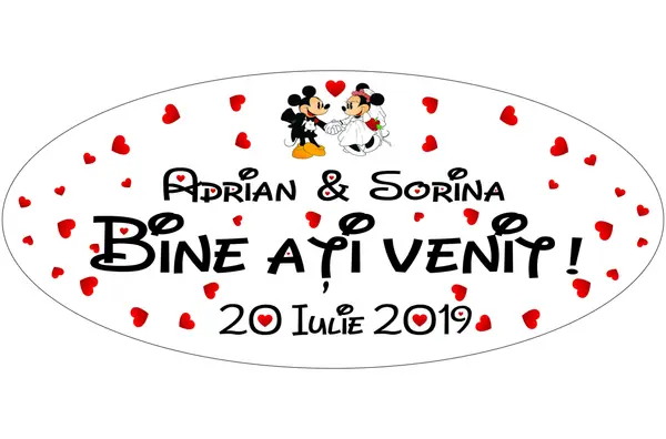 Placuta intampinare Personalizata PN29 45x25cm