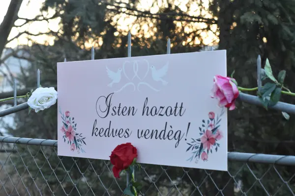 Placuta Intampinare Personalizata PN6 40x25 cm