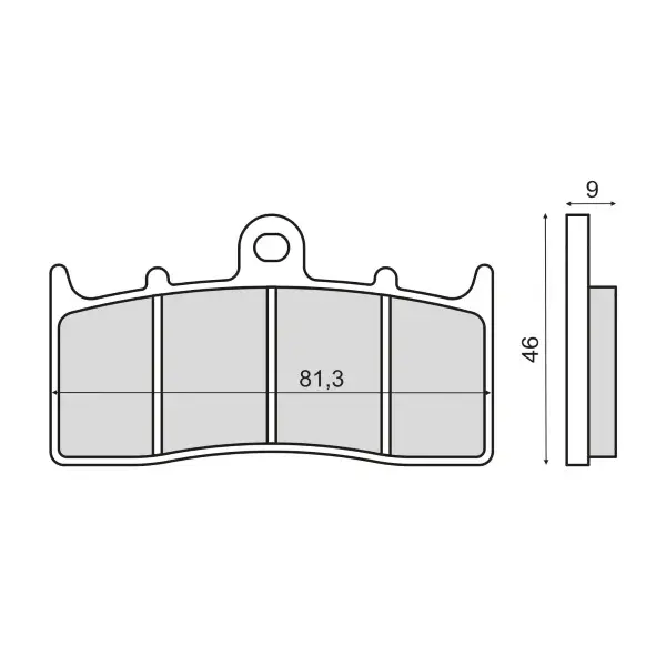 Placute frana sinter BMW R 850 R fata