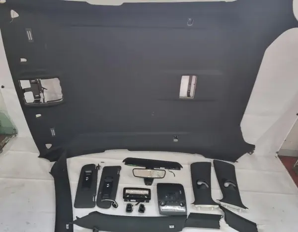 Plafon interior complet negru 9183023 BMW X6 (2008-2014) [E71, E72]