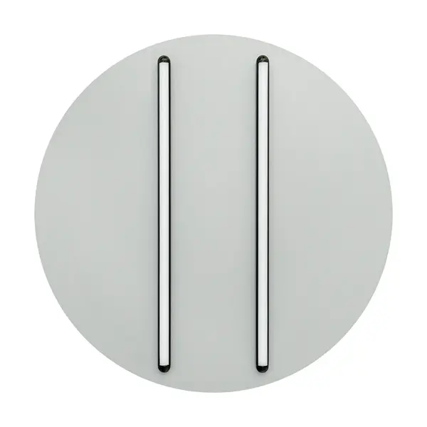 Plafoniera dimabila NOVEL 60CM - Grey
