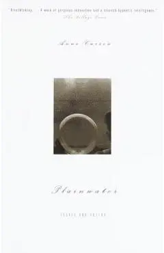 Plainwater: Essays and Poetry - Anne Carson