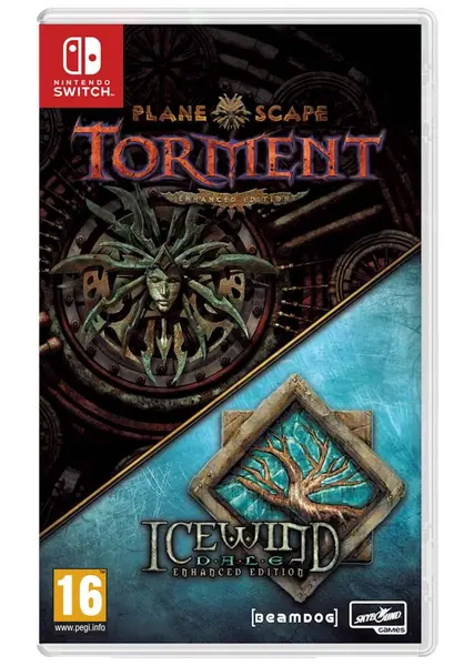 PLANESCAPE TORMENT ICEWIND DALE Нинтендо Суич