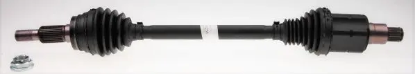 Planetara LÖBRO GKN Automotive OE-Technology 50° 306418