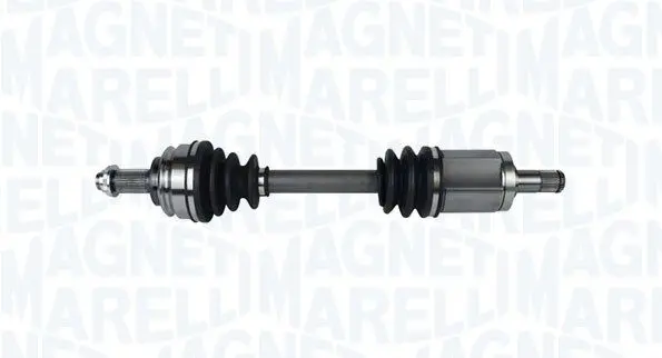 Planetara MAGNETI MARELLI 302004190019