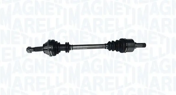 Planetara MAGNETI MARELLI 302004190035