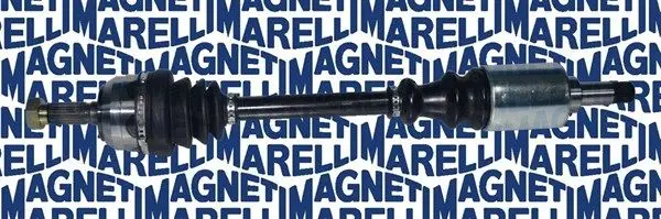 Planetara MAGNETI MARELLI 302004190043