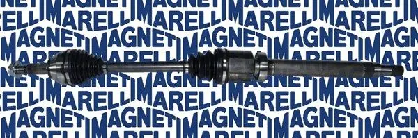 Planetara MAGNETI MARELLI 302004190064