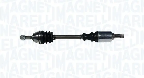 Planetara MAGNETI MARELLI 302004190141