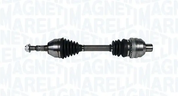 Planetara MAGNETI MARELLI 302004190220