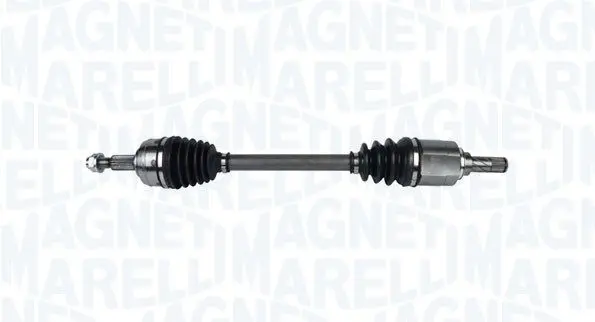 Planetara MAGNETI MARELLI 302004190250