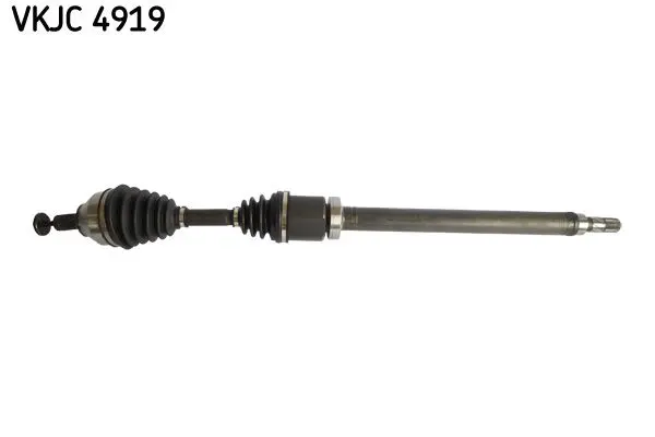 Planetara SKF VKJC 4919