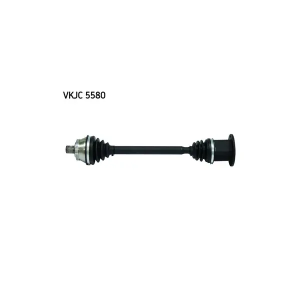 Planetara SKF VKJC 5580