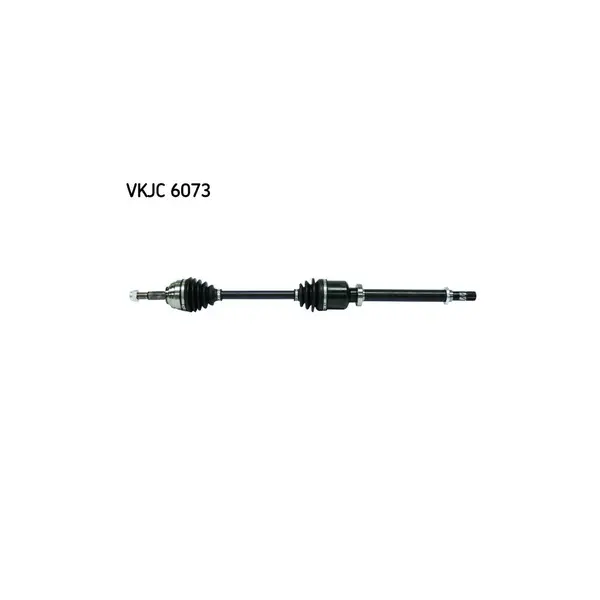 Planetara SKF VKJC 6073