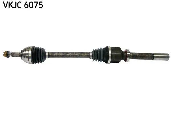 Planetara SKF VKJC 6075